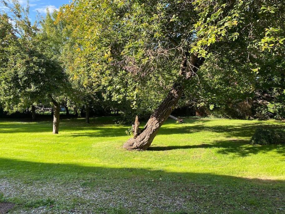 Berville-sur-Mer Appartement En Campagne מראה חיצוני תמונה